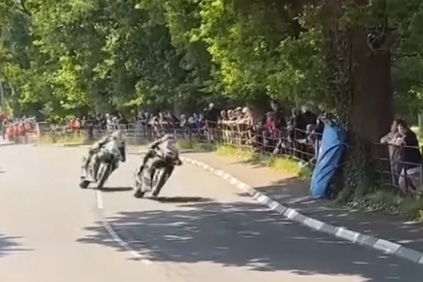 Spot Tourist Trophy - Conker Tree