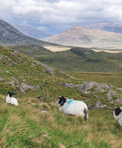 road trip moto en irlande dans le connemara puis à la north west 200