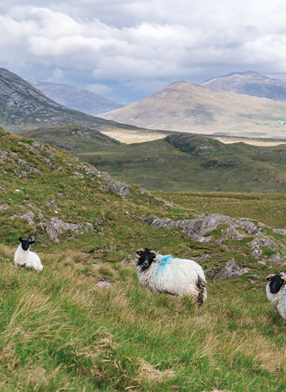 road trip moto en irlande dans le connemara puis à la north west 200